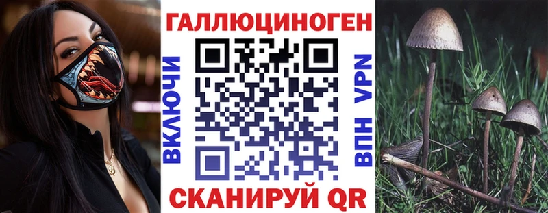 Галлюциногенные грибы Psilocybe  купить наркотики сайты  Выкса 