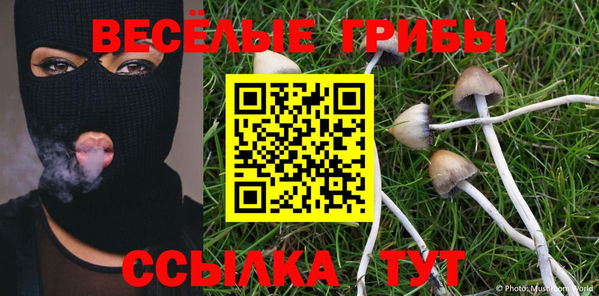 Псилоцибиновые грибы Magic Shrooms  Вход с VPN  Псилоцибиновые грибы прущие грибы  Выкса 