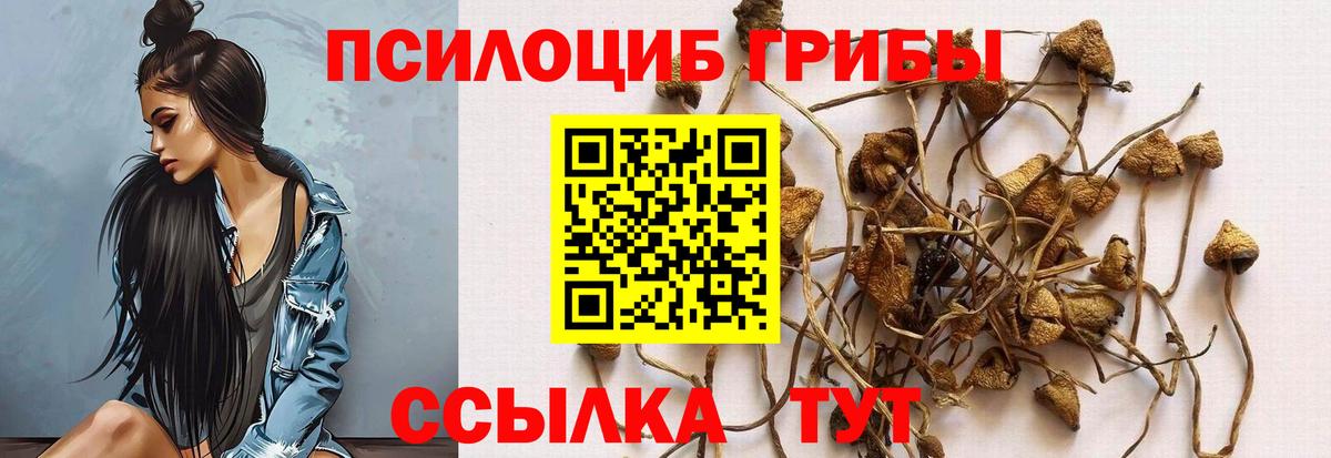 Галлюциногенные грибы GOLDEN TEACHER Выкса